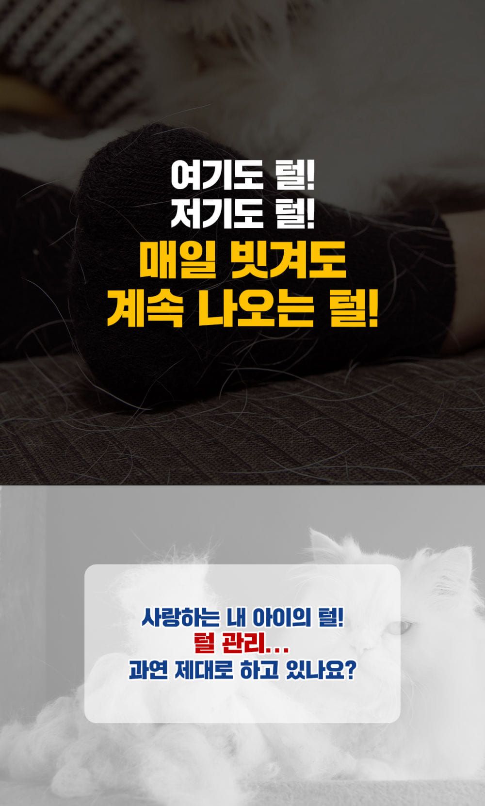 [무료배송] 페스룸 브러쉬 4번째