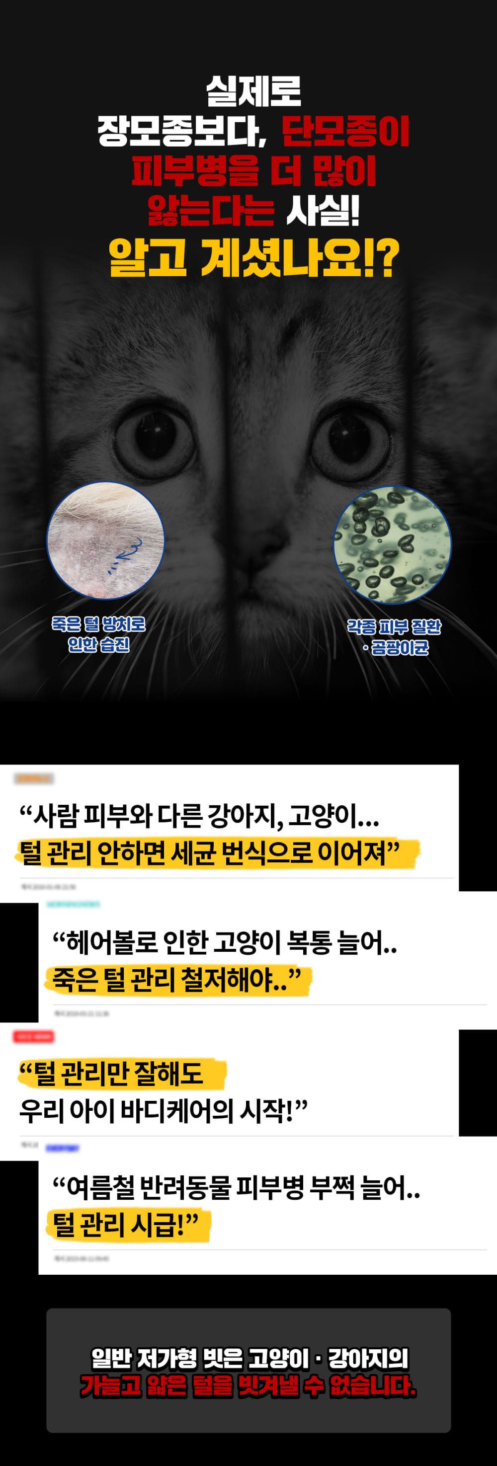 [무료배송] 페스룸 브러쉬 5번째