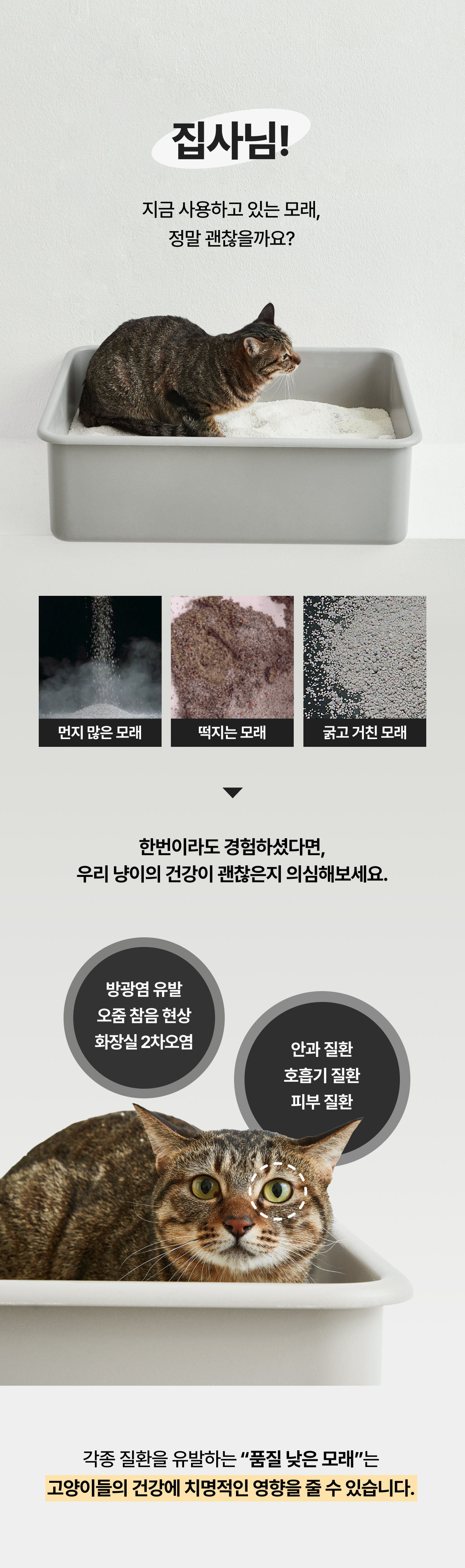 [NEW신상]라비샌드 벤토나이트 모래 베이직 6KG 2번째