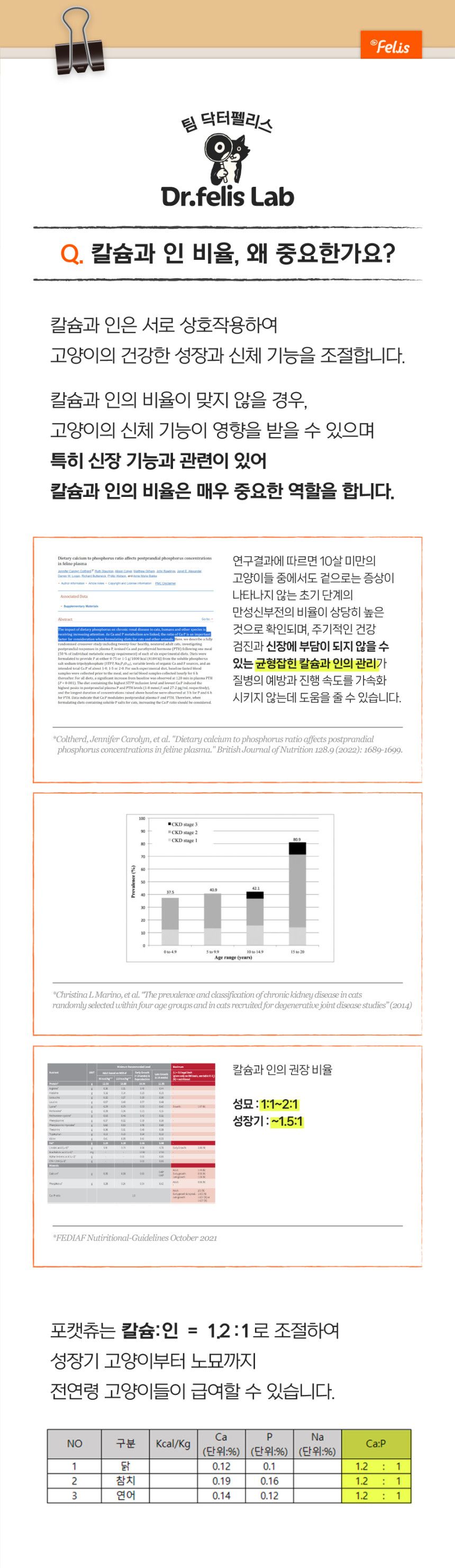 [NEW신상][체험팩] 닥터펠리스 캣 포캣츄 스타터팩 3P 15번째
