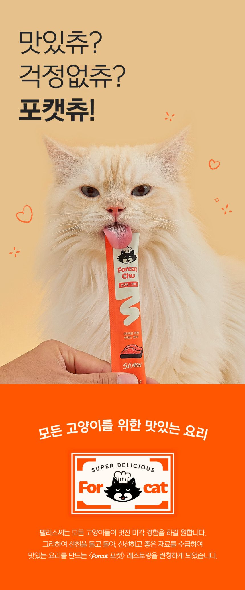 [NEW신상][체험팩] 닥터펠리스 캣 포캣츄 스타터팩 3P 2번째