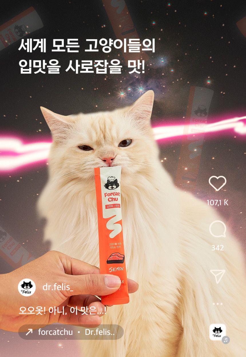 [NEW신상][체험팩] 닥터펠리스 캣 포캣츄 스타터팩 3P 3번째