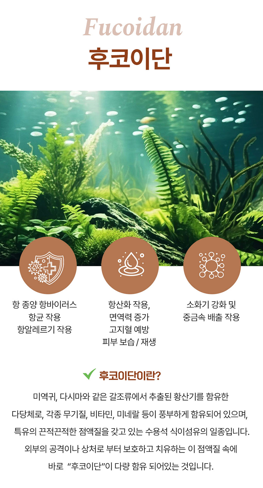 [무료배송] 라잇띵크펫 오리지널 산양유 동결건조 후코이단 트릿 13번째
