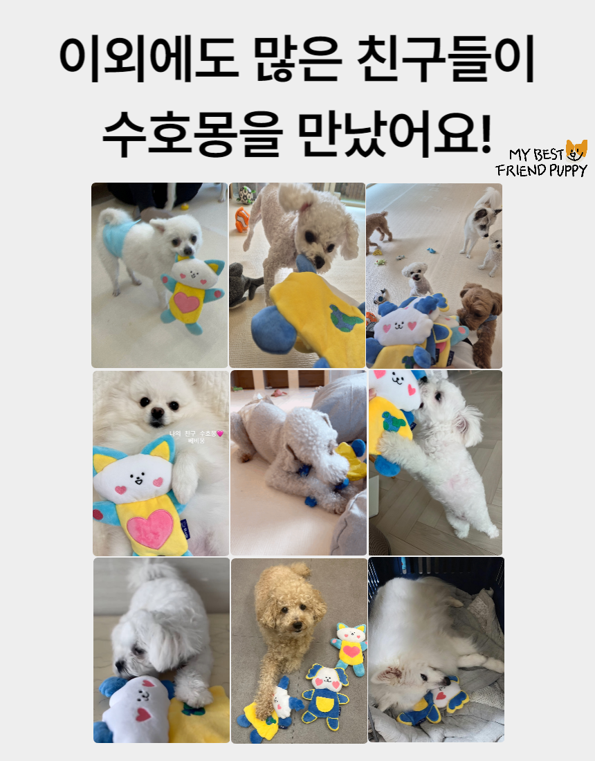 [NEW신상][무료배송] 포레그즈 보호자의 향기를 담는 애착인형 수호몽 3종 4번째