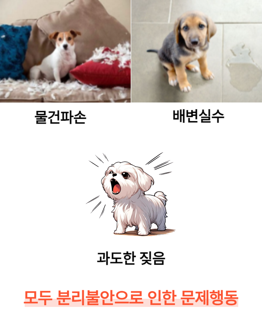 [NEW신상][무료배송] 포레그즈 보호자의 향기를 담는 애착인형 수호몽 3종 8번째