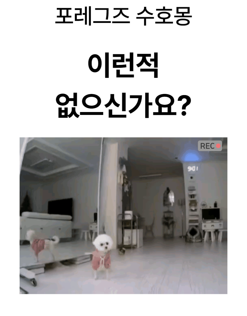 [NEW신상][무료배송] 포레그즈 보호자의 향기를 담는 애착인형 수호몽 3종 6번째