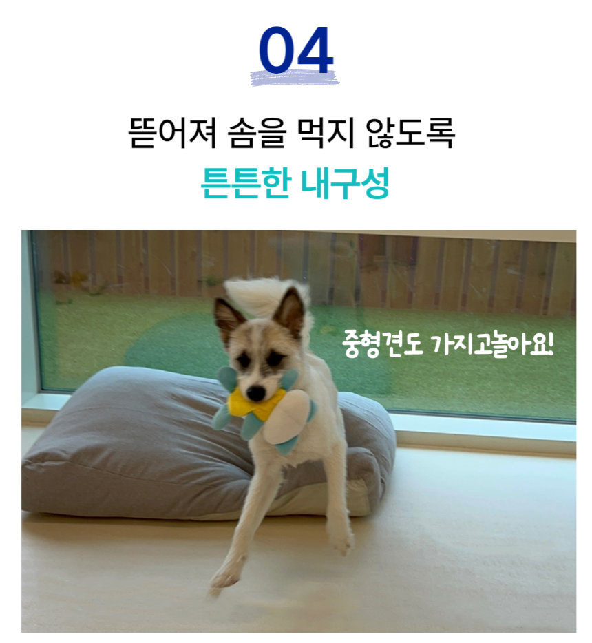 [NEW신상][무료배송] 포레그즈 보호자의 향기를 담는 애착인형 수호몽 3종 18번째