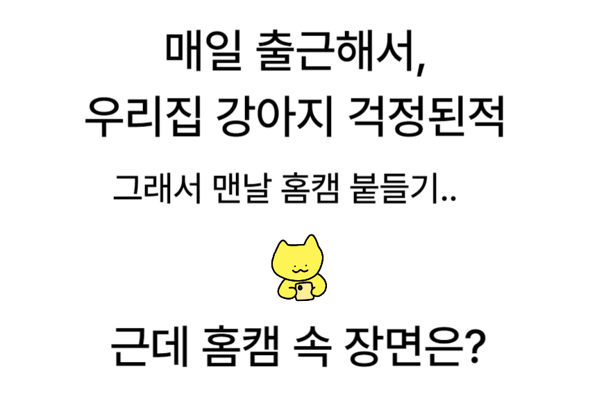 [NEW신상][무료배송] 포레그즈 보호자의 향기를 담는 애착인형 수호몽 3종 7번째