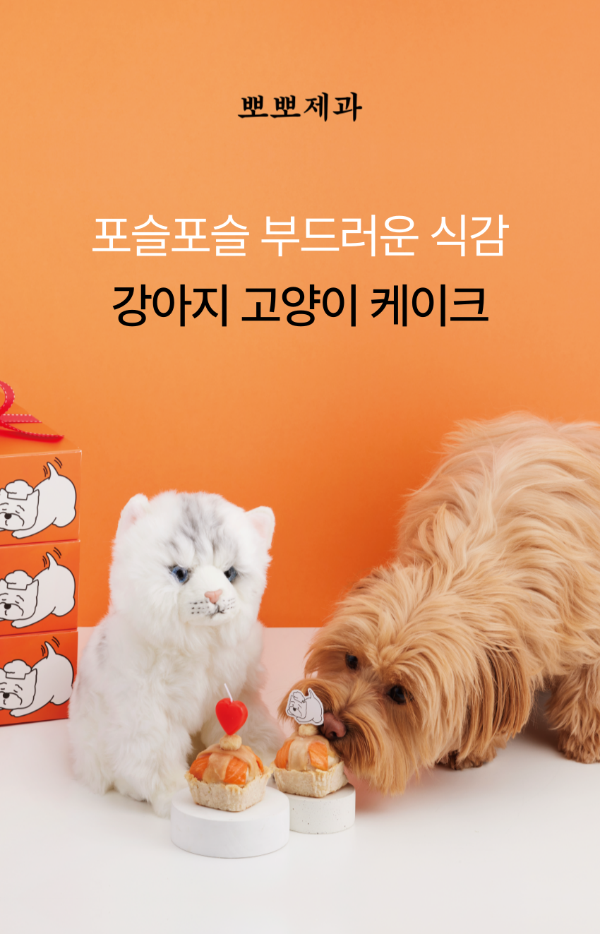 [무료배송] 뽀뽀제과 고양이케이크 + 하트초 4번째