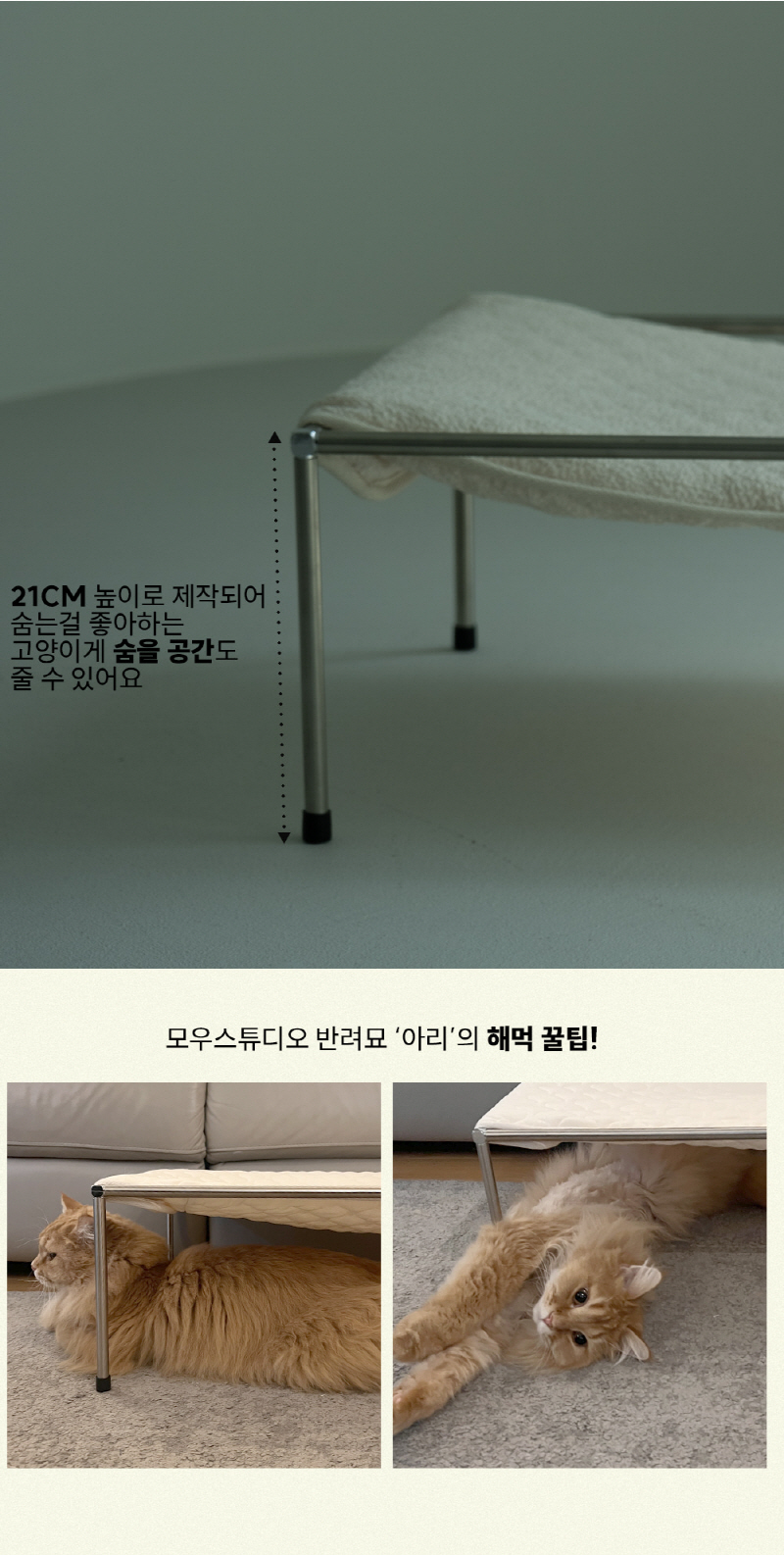 [NEW신상][무료배송] 모우스튜디오 365Day 해먹 15번째