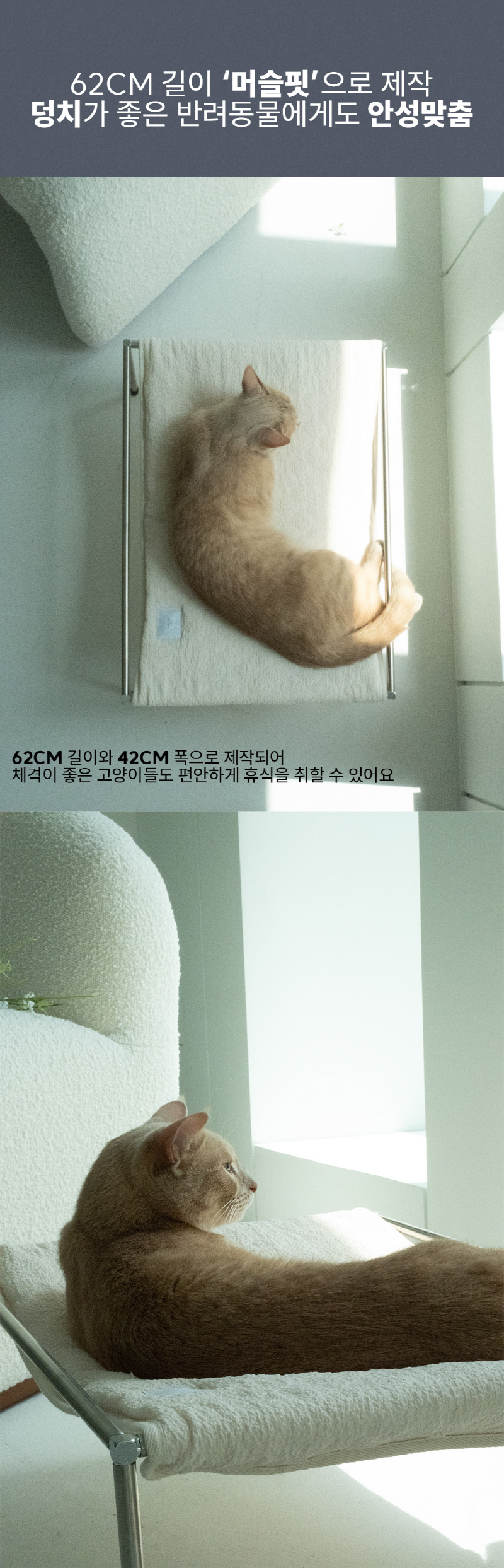 [NEW신상][무료배송] 모우스튜디오 365Day 해먹 14번째