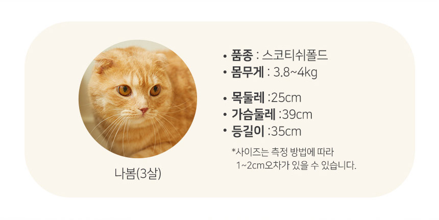 [무료배송] 펫토리아 고양이 장난감 [모음] 21번째