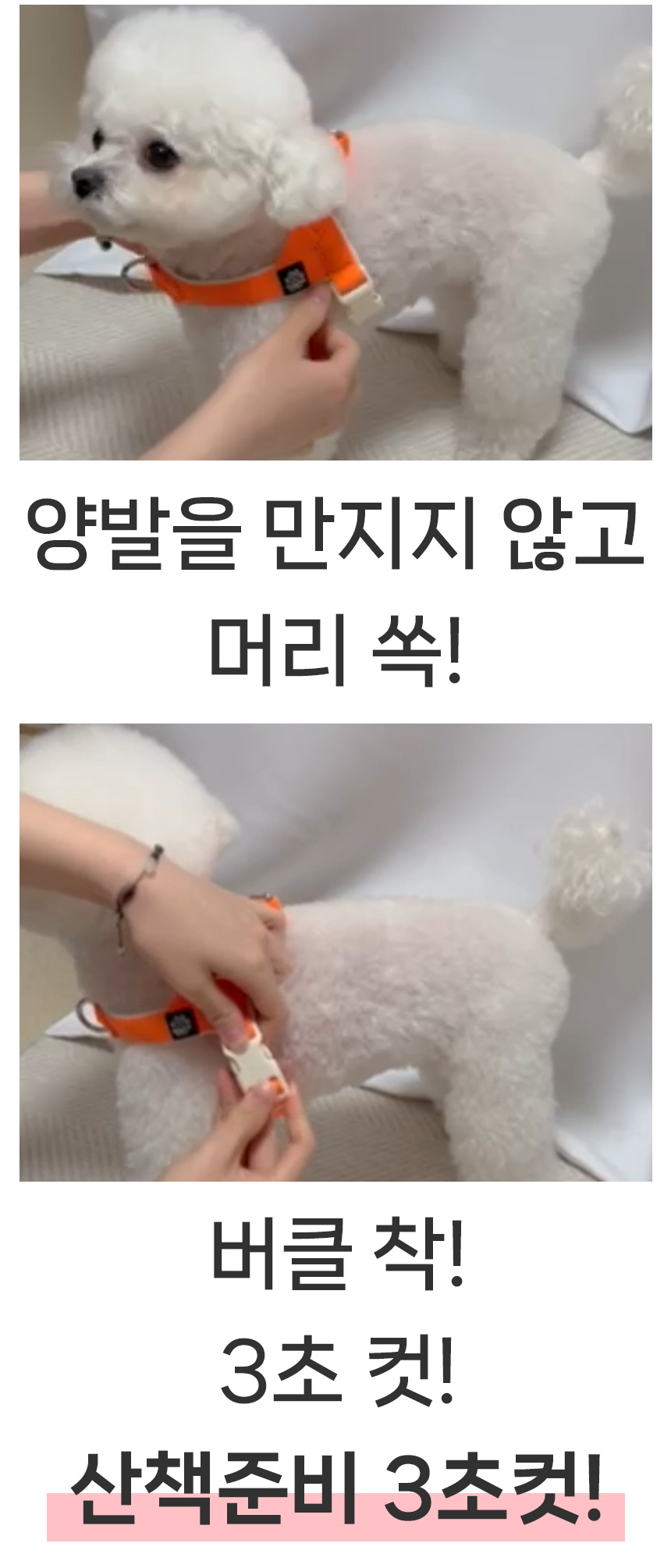[무료배송] 멍템 팔레트 하네스 핸즈프리 리드줄 2.5m 세트 XXS-M 10번째