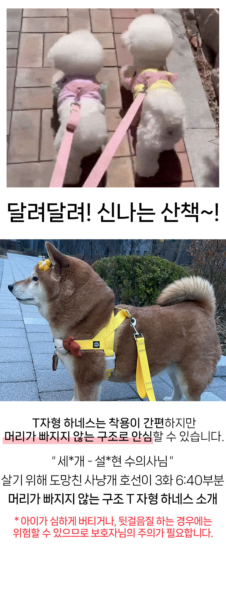 [무료배송] 멍템 팔레트 하네스 핸즈프리 리드줄 2.5m 세트 XXS-M 11번째