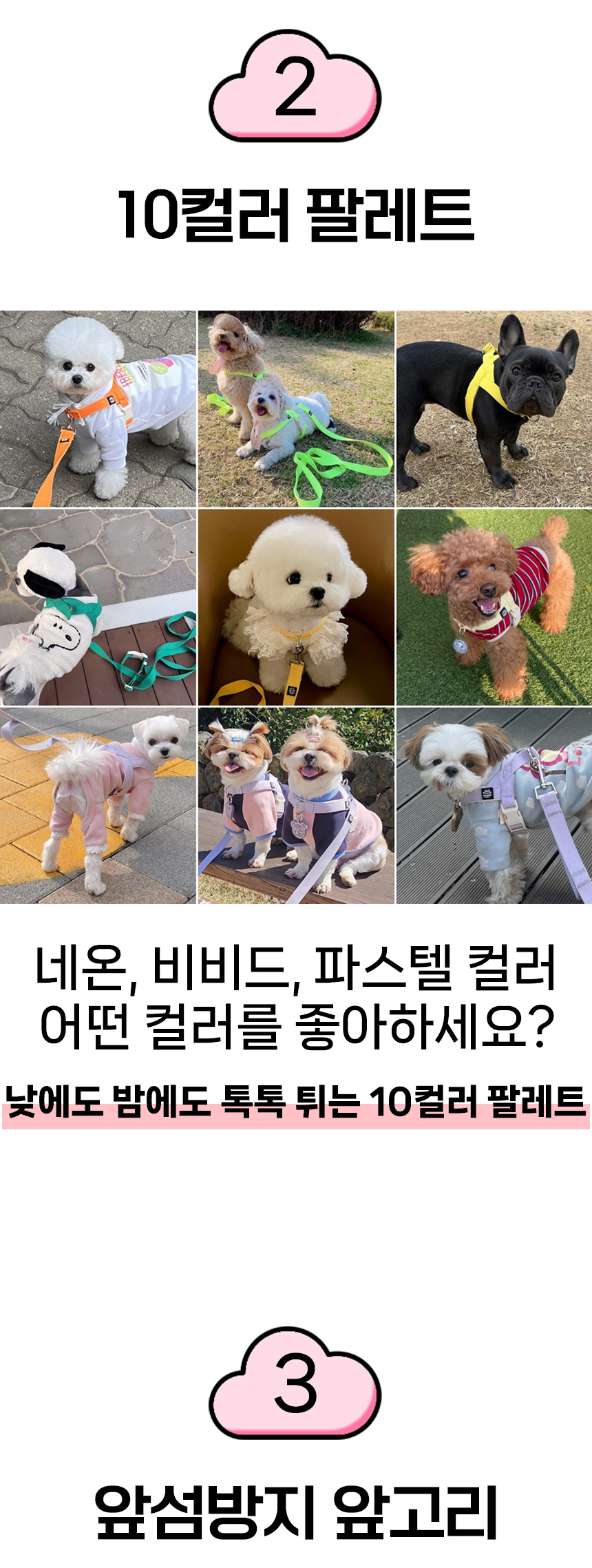 [무료배송] 멍템 팔레트 하네스 핸즈프리 리드줄 2.5m 세트 XXS-M 12번째