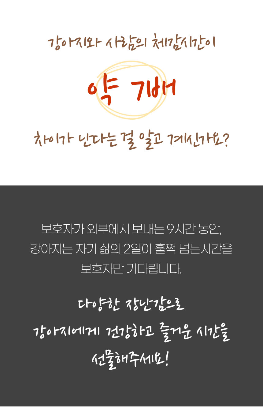 [무료배송] 펫토리아 강아지 장난감 베스트 [모음] 5번째