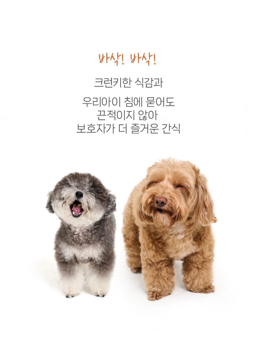닥터뉴토 독 면역케어 시리얼 50g 15번째