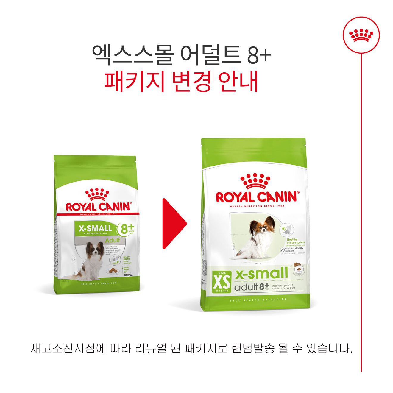 로얄캐닌 독 엑스스몰 어덜트 8+ 3kg 피모관리 1번째