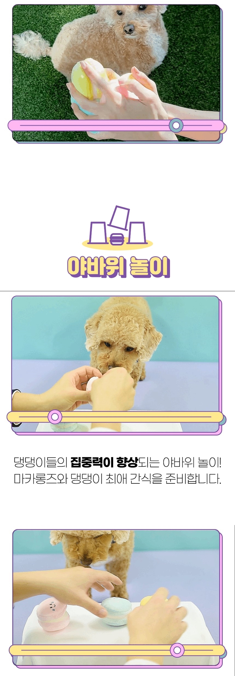 [NEW신상][무료배송] 가을이네 독 마카롱 노즈워크 3종 세트 9번째