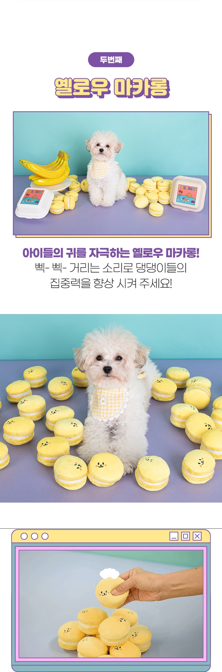 [NEW신상][무료배송] 가을이네 독 마카롱 노즈워크 3종 세트 6번째