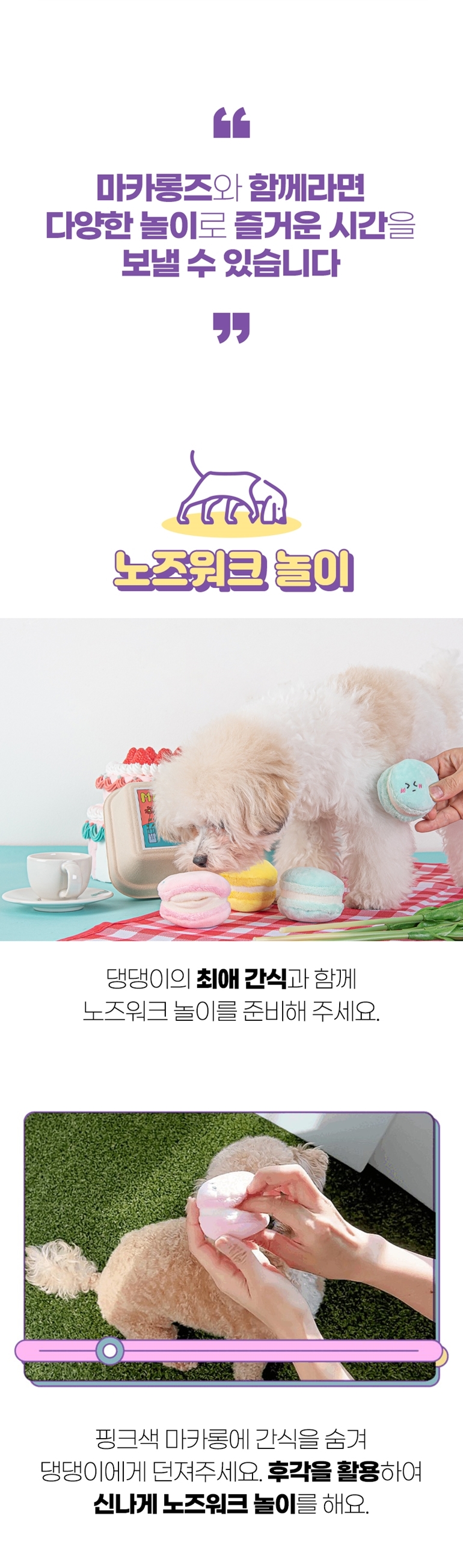 [NEW신상][무료배송] 가을이네 독 마카롱 노즈워크 3종 세트 8번째