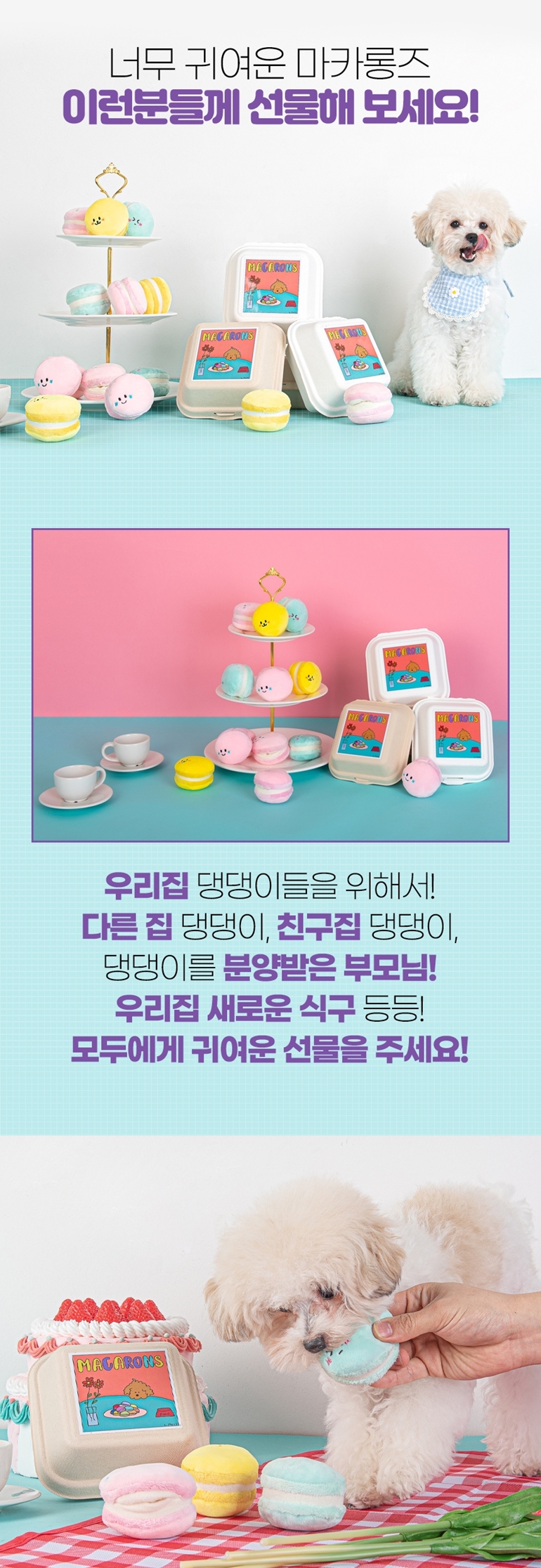 [NEW신상][무료배송] 가을이네 독 마카롱 노즈워크 3종 세트 11번째