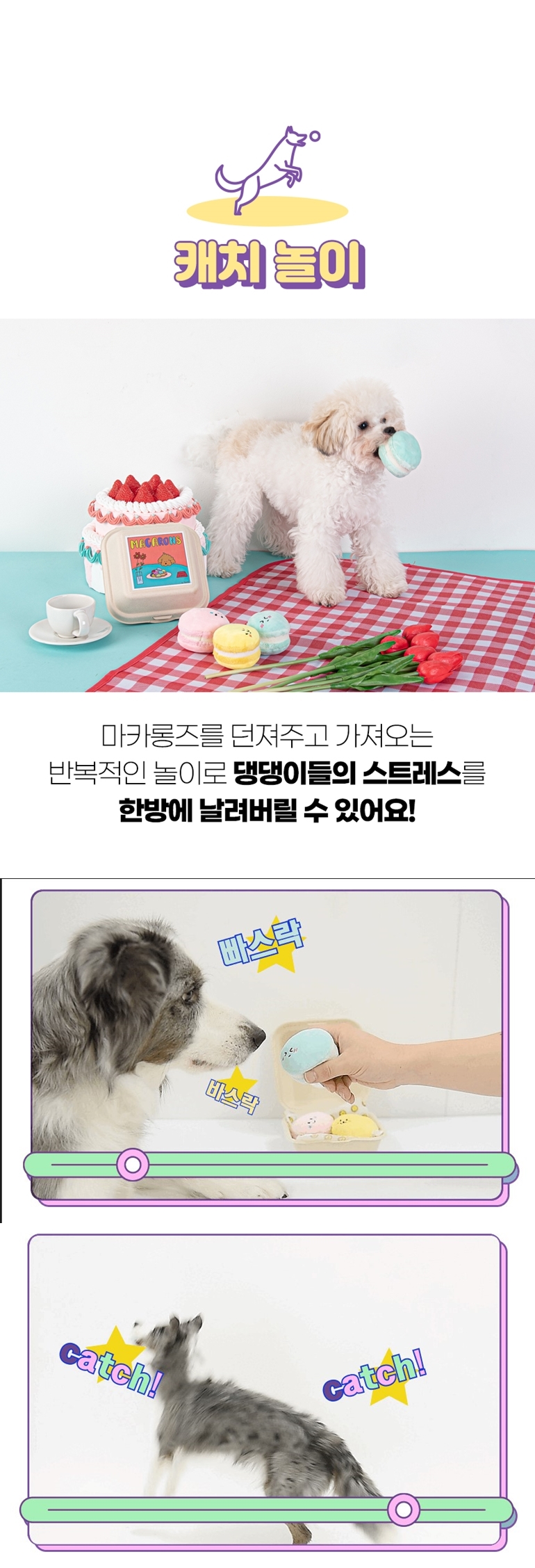 [NEW신상][무료배송] 가을이네 독 마카롱 노즈워크 3종 세트 10번째