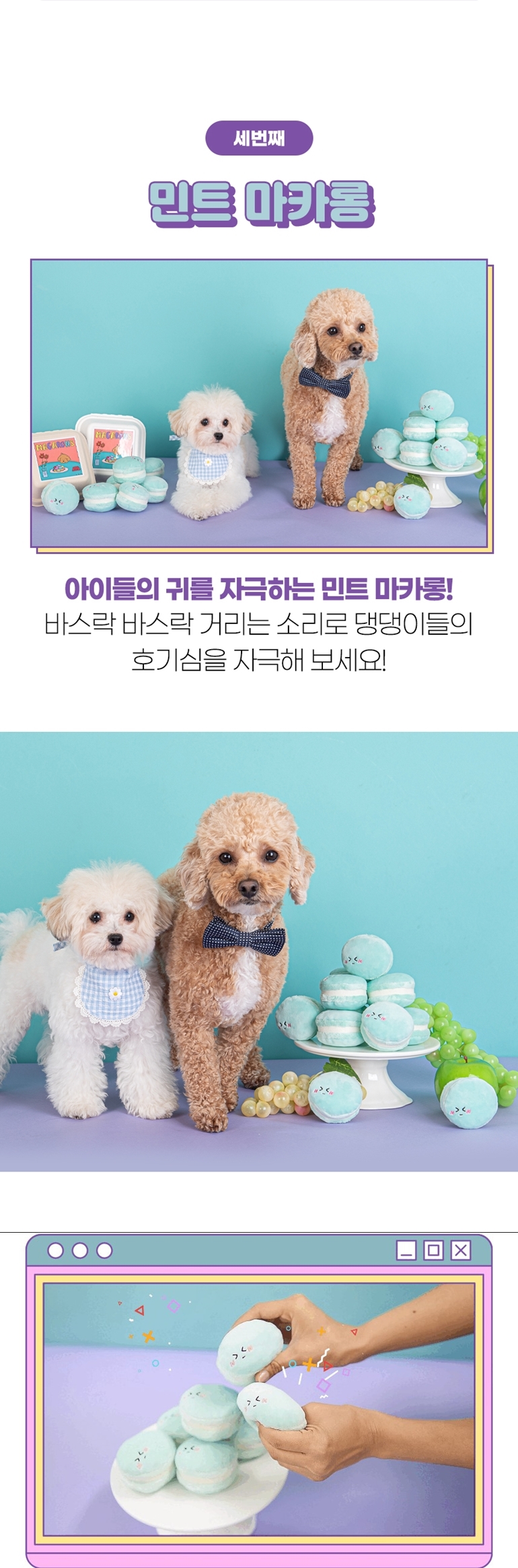 [NEW신상][무료배송] 가을이네 독 마카롱 노즈워크 3종 세트 7번째