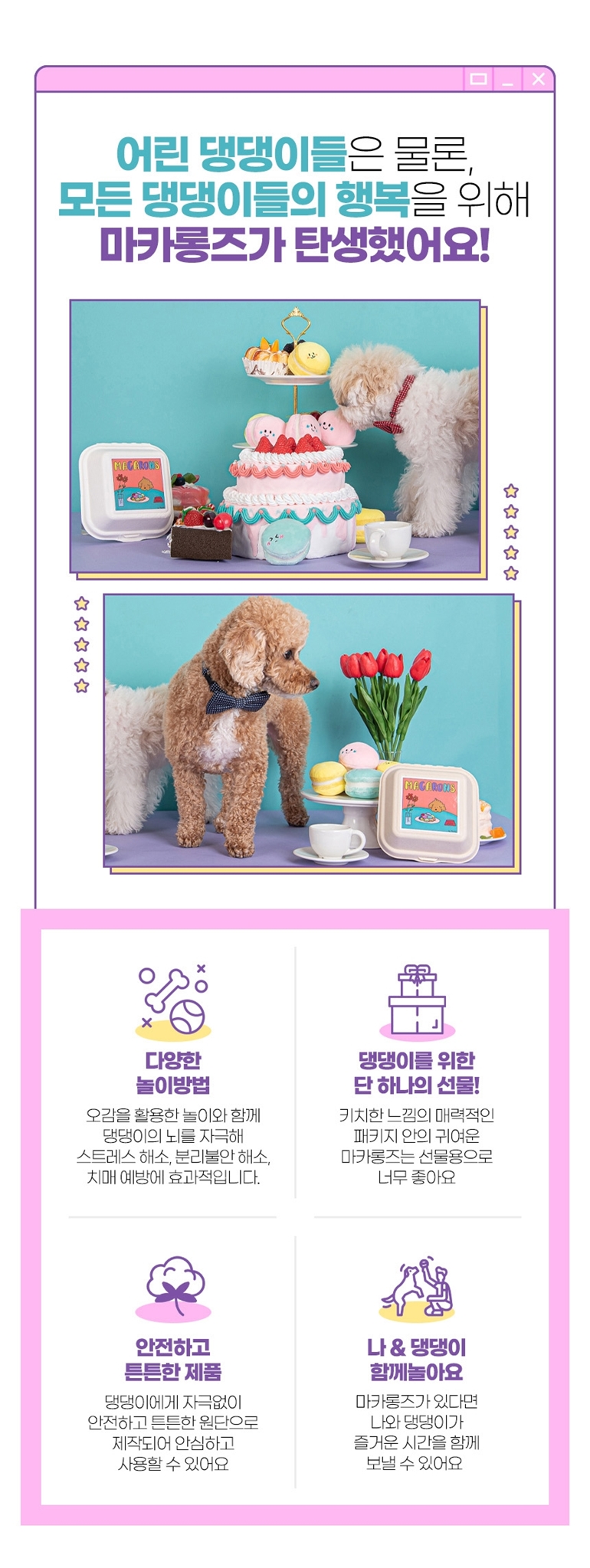 [NEW신상][무료배송] 가을이네 독 마카롱 노즈워크 3종 세트 3번째