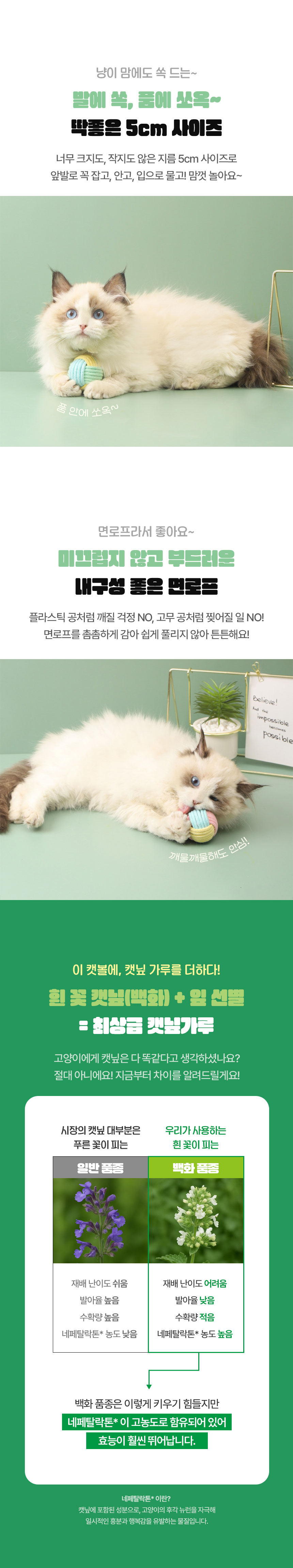 [NEW신상][무료배송] [1+1] 크레용펫 품에쏙 마카롱 캣닢 공 장난감 2번째