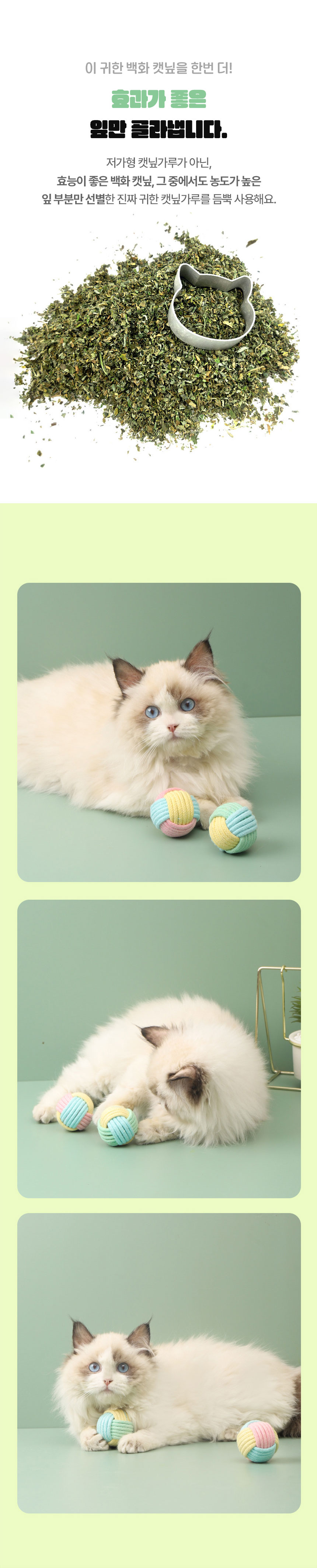 [NEW신상][무료배송] [1+1] 크레용펫 품에쏙 마카롱 캣닢 공 장난감 3번째