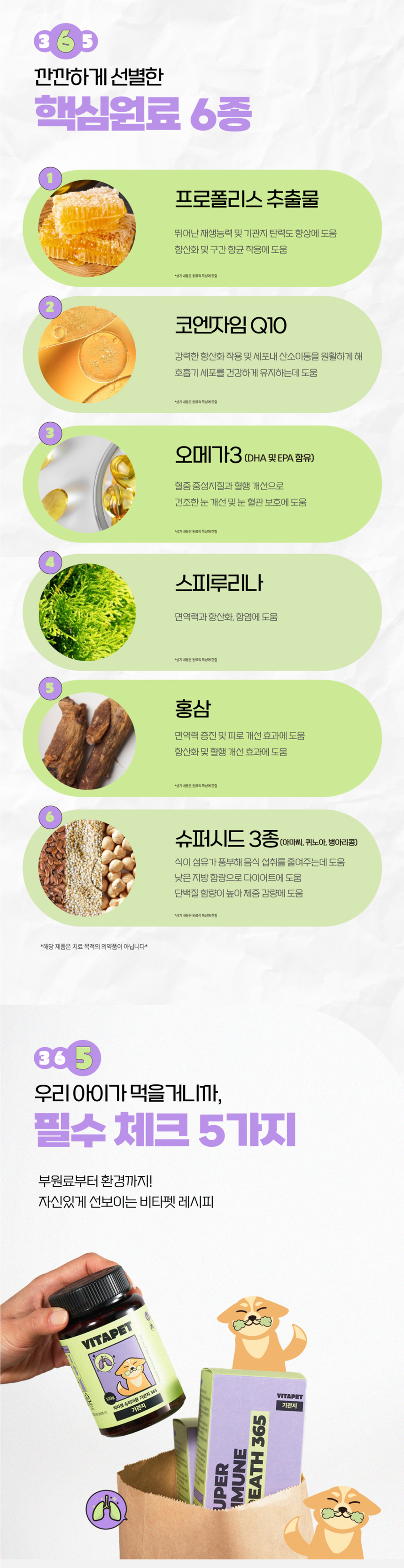 비타펫 독 프로폴리스 호흡기,기관지 영양제 90일분 120g 4번째