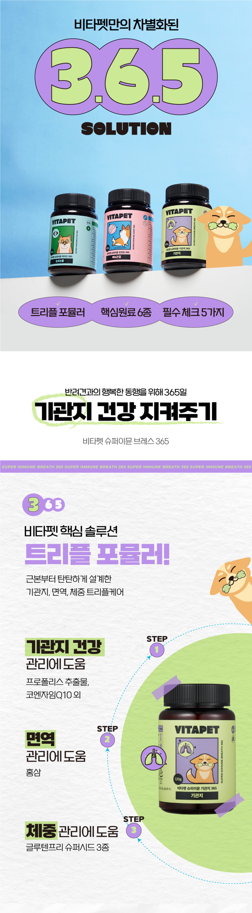 비타펫 독 프로폴리스 호흡기,기관지 영양제 90일분 120g 3번째