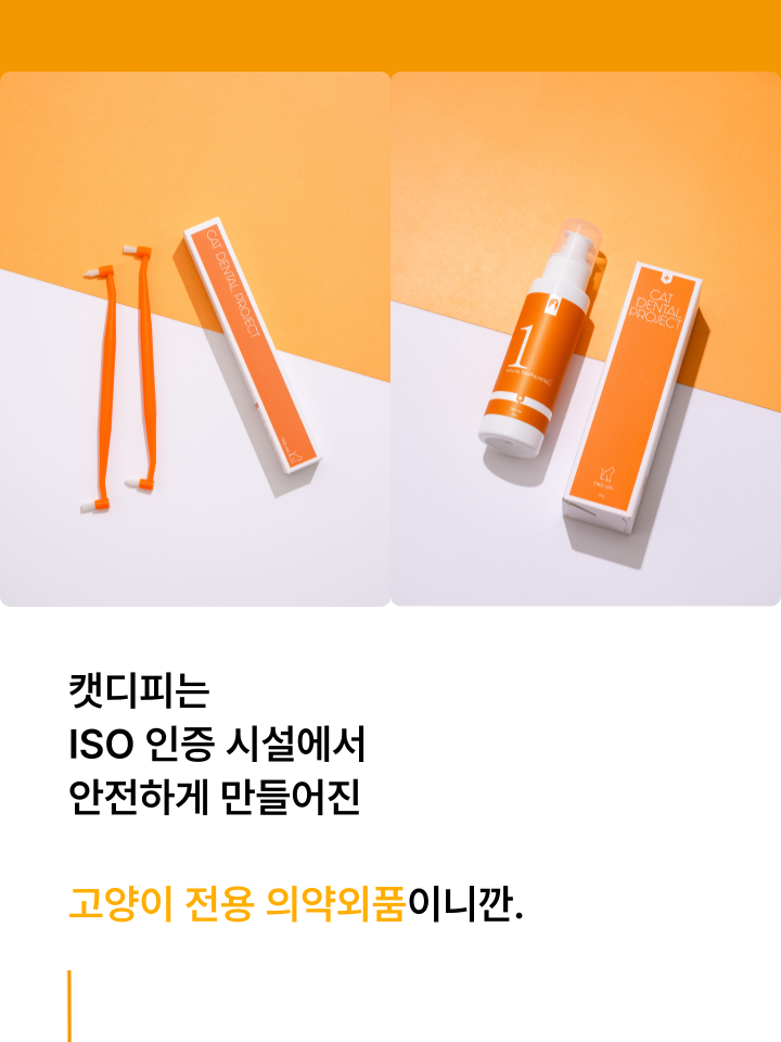 [NEW신상][무료배송] 캣디피 고양이 원미닛 치약 덴탈 효소 펌핑형 72번째