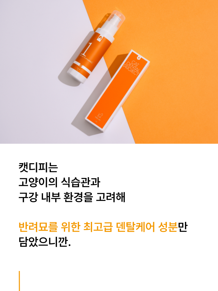 [NEW신상][무료배송] 캣디피 고양이 원미닛 치약 덴탈 효소 펌핑형 58번째