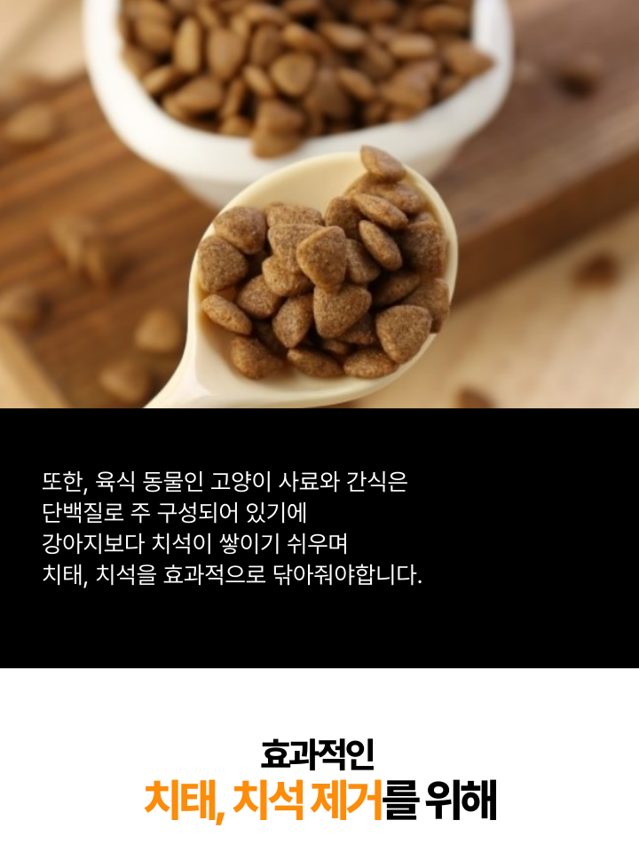 [NEW신상][무료배송] 캣디피 고양이 원미닛 치약 덴탈 효소 펌핑형 51번째