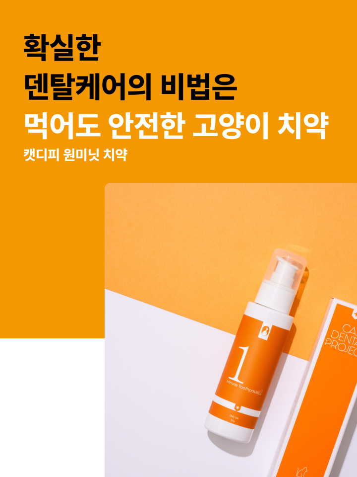[NEW신상][무료배송] 캣디피 고양이 원미닛 치약 덴탈 효소 펌핑형 75번째