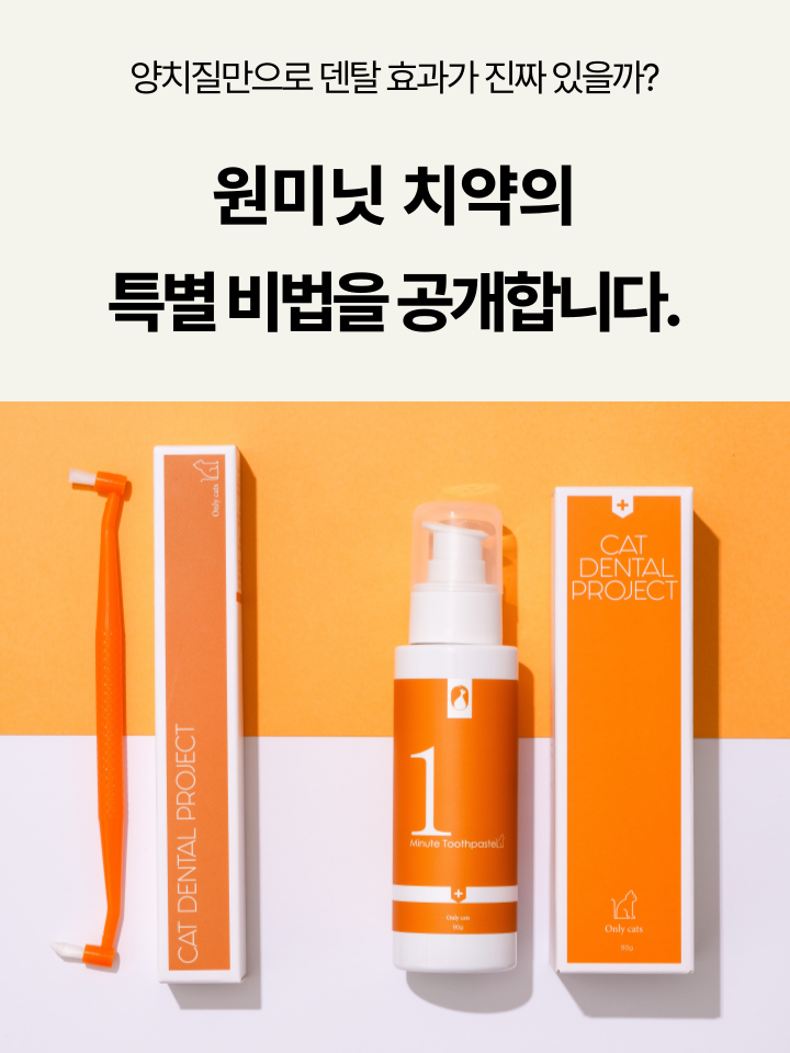 [NEW신상][무료배송] 캣디피 고양이 원미닛 치약 덴탈 효소 펌핑형 49번째