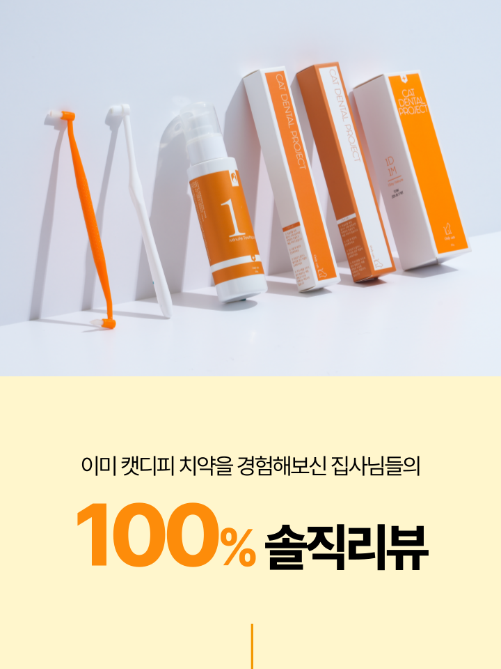 [NEW신상][무료배송] 캣디피 고양이 원미닛 치약 덴탈 효소 펌핑형 24번째