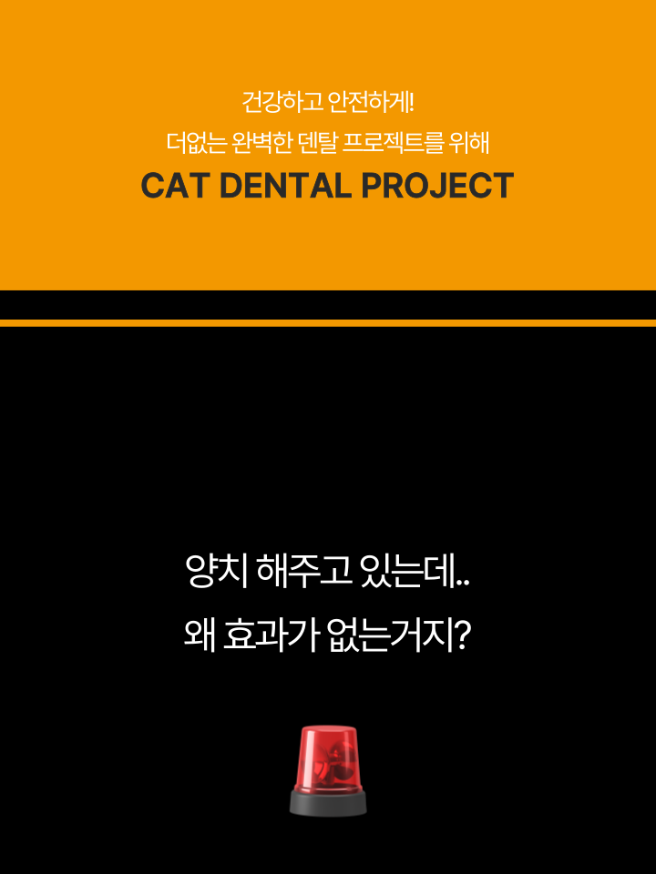 [NEW신상][무료배송] 캣디피 고양이 원미닛 치약 덴탈 효소 펌핑형 10번째