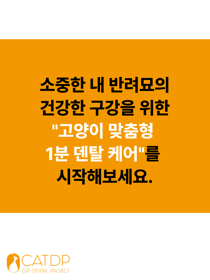 [NEW신상][무료배송] 캣디피 고양이 원미닛 치약 덴탈 효소 펌핑형 6번째