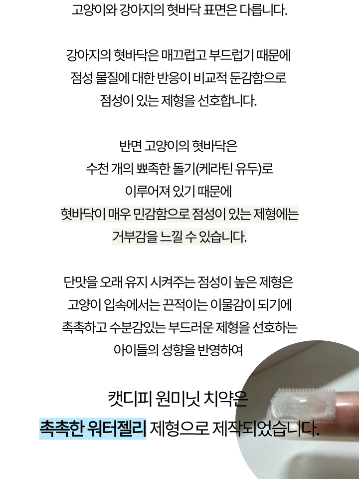 [NEW신상][무료배송] 캣디피 고양이 원미닛 치약 덴탈 효소 펌핑형 71번째