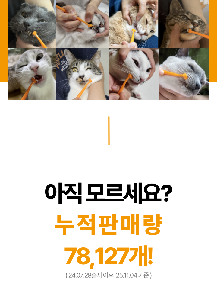 [NEW신상][무료배송] 캣디피 고양이 원미닛 치약 덴탈 효소 펌핑형 19번째