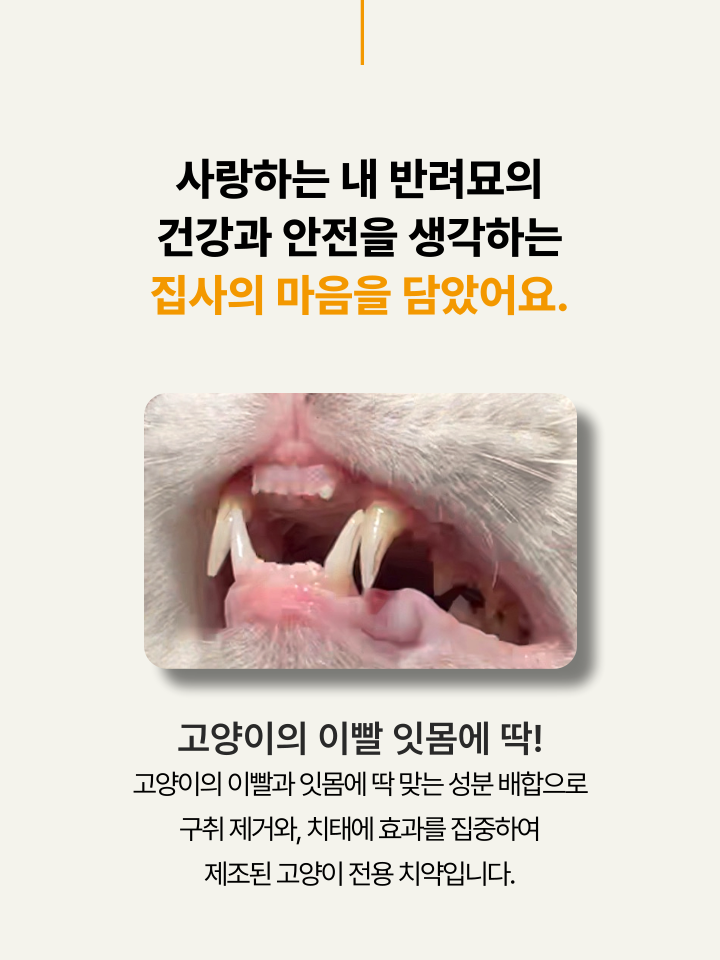 [NEW신상][무료배송] 캣디피 고양이 원미닛 치약 덴탈 효소 펌핑형 16번째