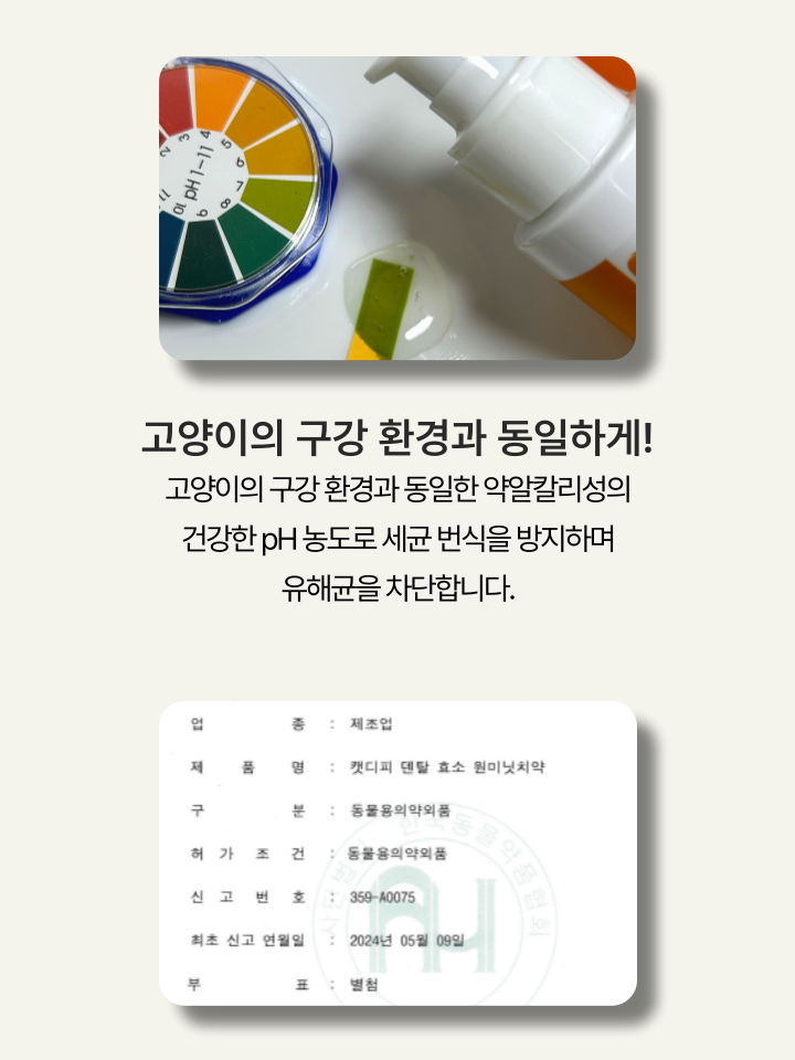 [NEW신상][무료배송] 캣디피 고양이 원미닛 치약 덴탈 효소 펌핑형 17번째