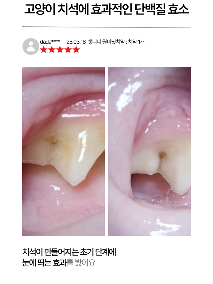 [NEW신상][무료배송] 캣디피 고양이 원미닛 치약 덴탈 효소 펌핑형 30번째
