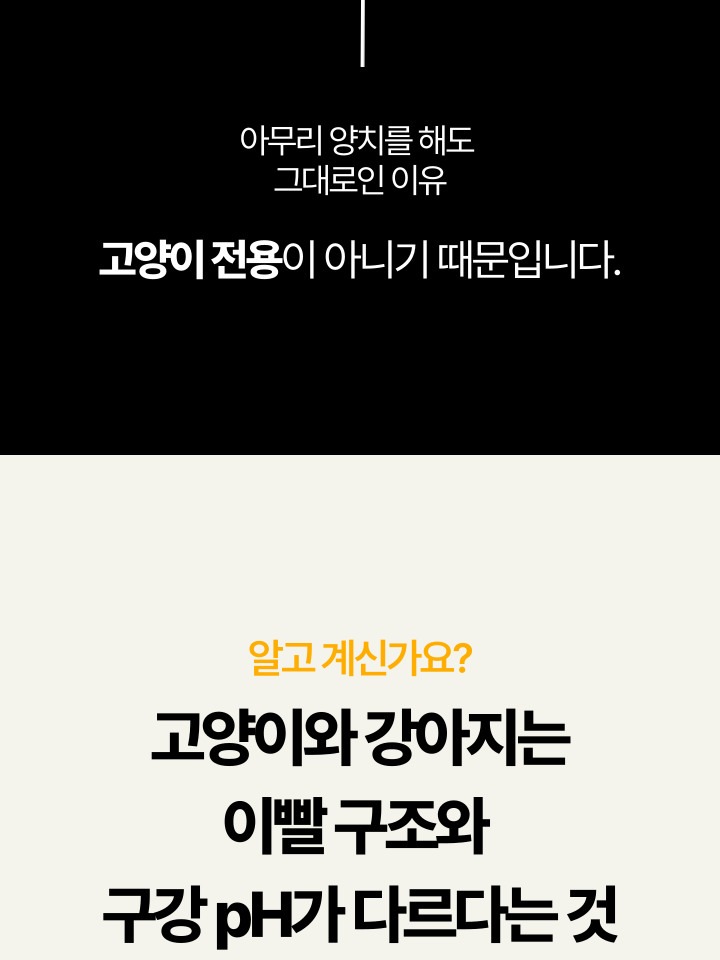 [NEW신상][무료배송] 캣디피 고양이 원미닛 치약 덴탈 효소 펌핑형 38번째