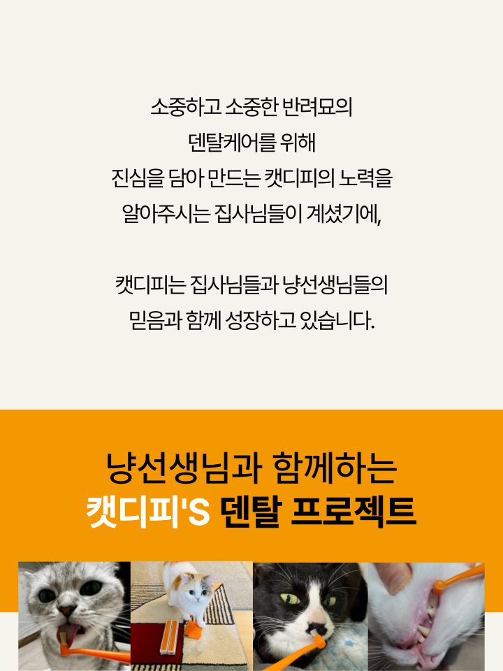 [NEW신상][무료배송] 캣디피 고양이 원미닛 치약 덴탈 효소 펌핑형 78번째