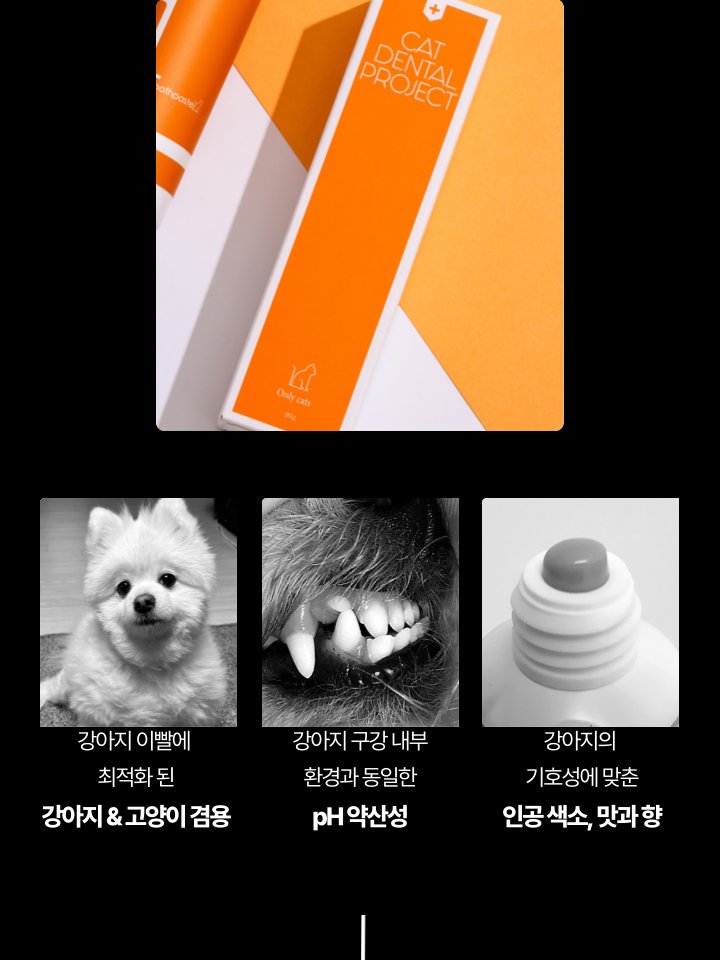 [NEW신상][무료배송] 캣디피 고양이 원미닛 치약 덴탈 효소 펌핑형 37번째