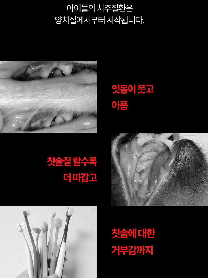 [NEW신상][무료배송] 캣디피 고양이 원미닛 치약 덴탈 효소 펌핑형 12번째